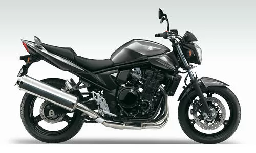 Profile photo of GSF 650 Bandit N 2013 in color not defined.