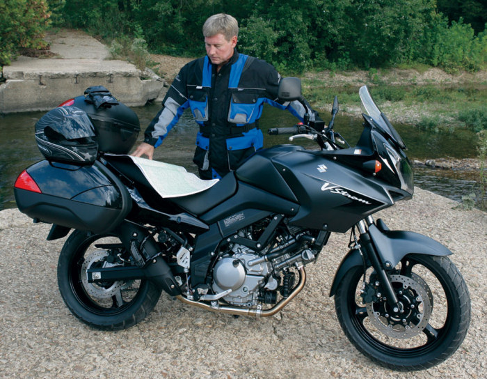 Slider Forcellone Bobine Moto In Alluminio Per Suzuki DL650/1000 V-Strom, Hayabusa GSX1300R - 2 Pezzi