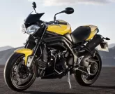 Motorcycle Triumph 1050 SPEED 94R 2015