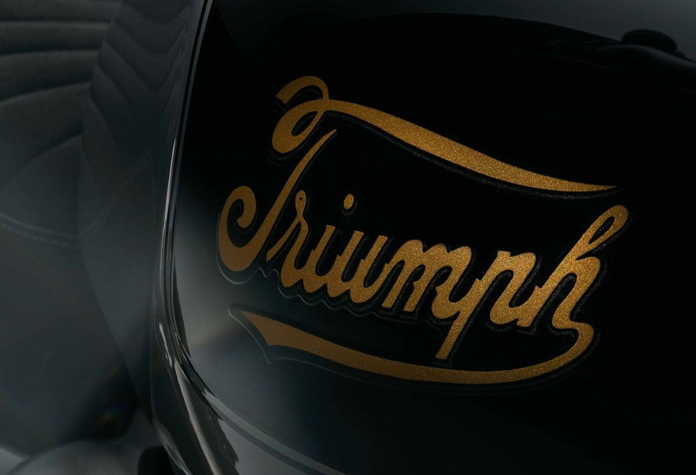 Triumph 900 Scrambler Icon Edition 2025 - 7