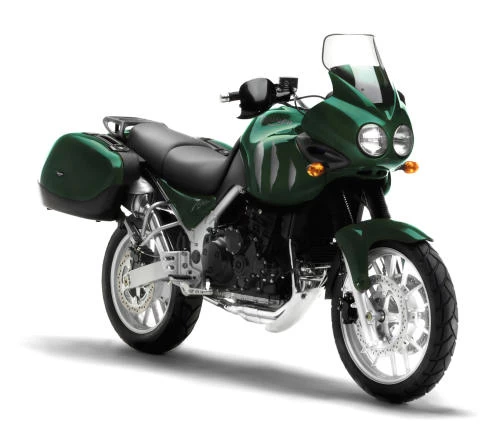 Photo de profil de la 955i Tiger 2004 en couleur non défini