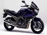 Moto Yamaha TDM 900 2003
