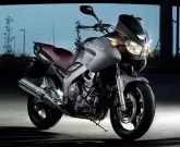 Moto Yamaha TDM 900 2010