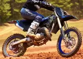 Moto Yamaha YZ 250 Monster Energy Edition 2022