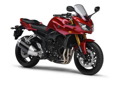 Profile photo of FZ1 1000 FAZER 2006 in color not defined.