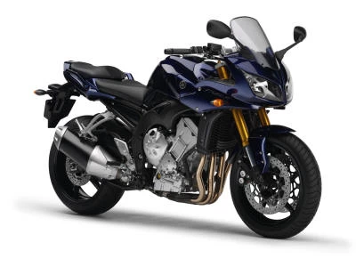 Profile photo of FZ1 1000 FAZER 2006 in color not defined.