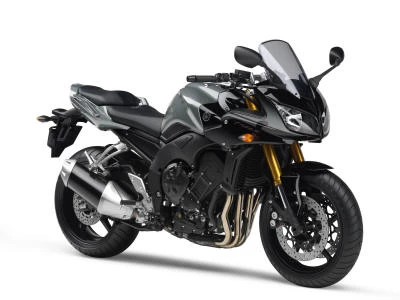 Profile photo of FZ1 1000 FAZER 2007 in color not defined.