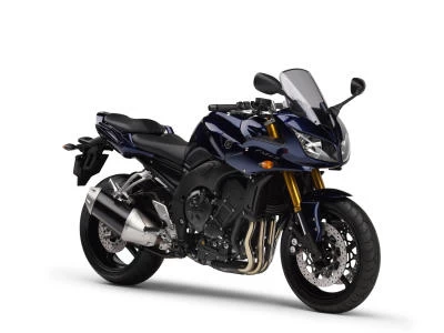 Profile photo of FZ1 1000 FAZER 2007 in color not defined.