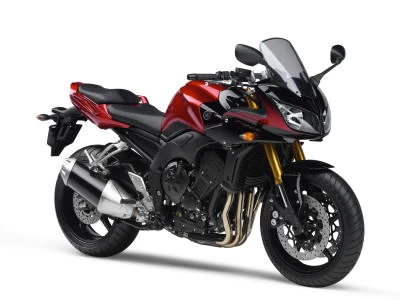 Profile photo of FZ1 1000 FAZER 2007 in color not defined.