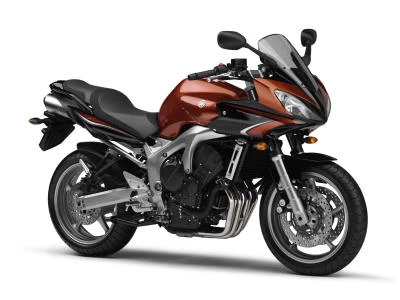 Foto de perfil del FZ6 600 FAZER S2 2010 en color indefinido.