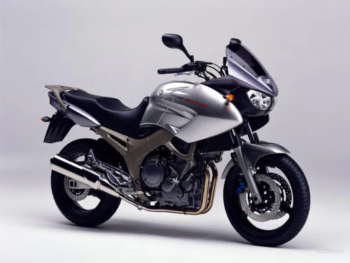 Profile photo of TDM 900 2003 in color not defined.