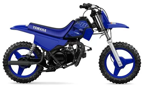 Foto de perfil del PW 50 2022 en color indefinido.