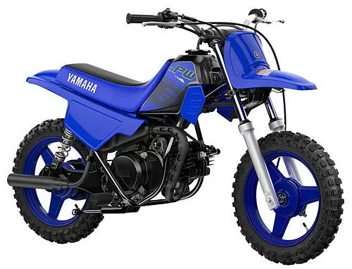 Foto de perfil del PW 50 2024 en color azul.