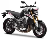 Moto Yamaha MT-09 850 STREET RALLY 2014