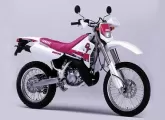 Moto Yamaha DT 200 WR 1991